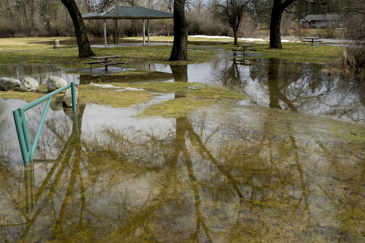 Portions of Pine River Park in North Spokane are seen flooded on Tuesday, March 14, 2017 near the Little Spokane River. (Tyler Tjomsland / The Spokesman-Review)