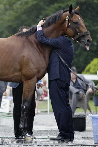 
Co-owner Michael Iavarone hugs Big Brown after the horse came in last at the Belmont Stakes. Associated Press
 (Associated Press / The Spokesman-Review)