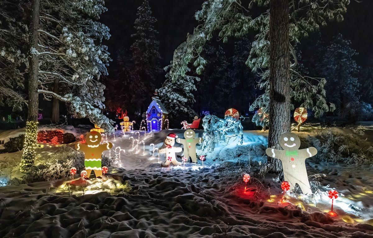 Manito Park holiday lights drive-thru display returns for third year ...