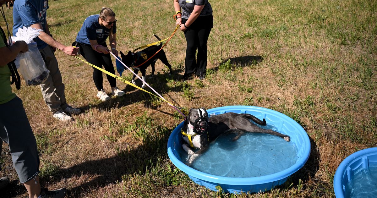 Hundreds of people and pets turn out for Humane Society event