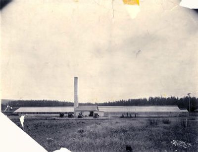 
The greenhouse, in a photo taken in 1928, is a relic of a once vibrant cut-flower industry in the area. 
 (Photo courtesy of the Montecucco family / The Spokesman-Review)