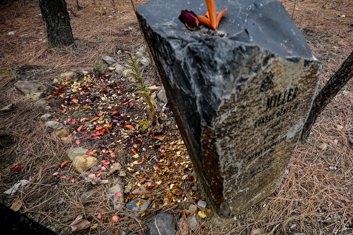 Dried flower petals are scattered on Robert “Jake” Miller’s green burial gravesite on Oct. 25 at Forest Grove at Fairmount Memorial in Spokane.  (Kathy Plonka/The Spokesman-Review)