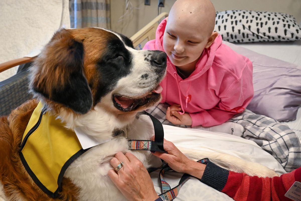 Peyton Adams, 14, of Spokane, gets a visit from Margaux, a 4-year-old Saint Bernard during her stay at Sacred Heart Children