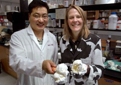 
Graduate student Seung-Yong Lim and associate professor Stephanie Clark pose in their Washington State University lab with ice cream samples they used in their research. Lim is developing a pasty liquid made with whey that improves the flavor and body of low-fat ice cream.  
 (Brian Immel / The Spokesman-Review)