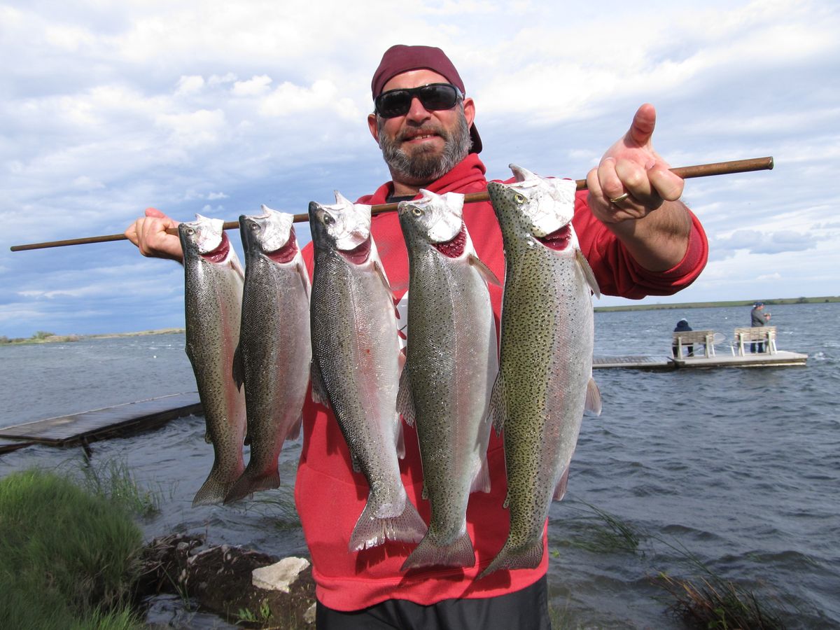 Anglers take a shine to Sprague Lake rainbows The SpokesmanReview