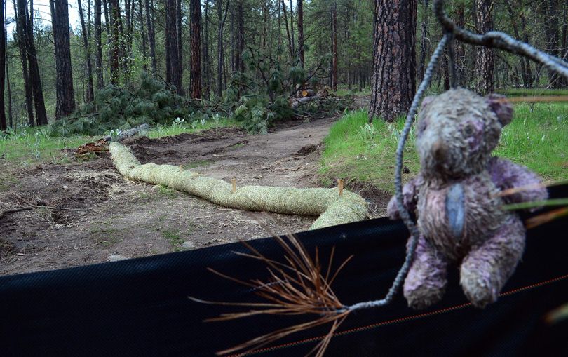 A weathered toy bear is tied to a branch at the south end of the road that was put in along the forested land along High Drive Bluff. The owner of the 50 acres of forested land is suing Swedberg Contracting Corp., owned by Adam Swedberg, who is blamed for digging out dozens of trees and scraping a milelong road into the forested South Hill bluff below Bernard Street. (Liz Kishimoto / The Spokesman-Review)