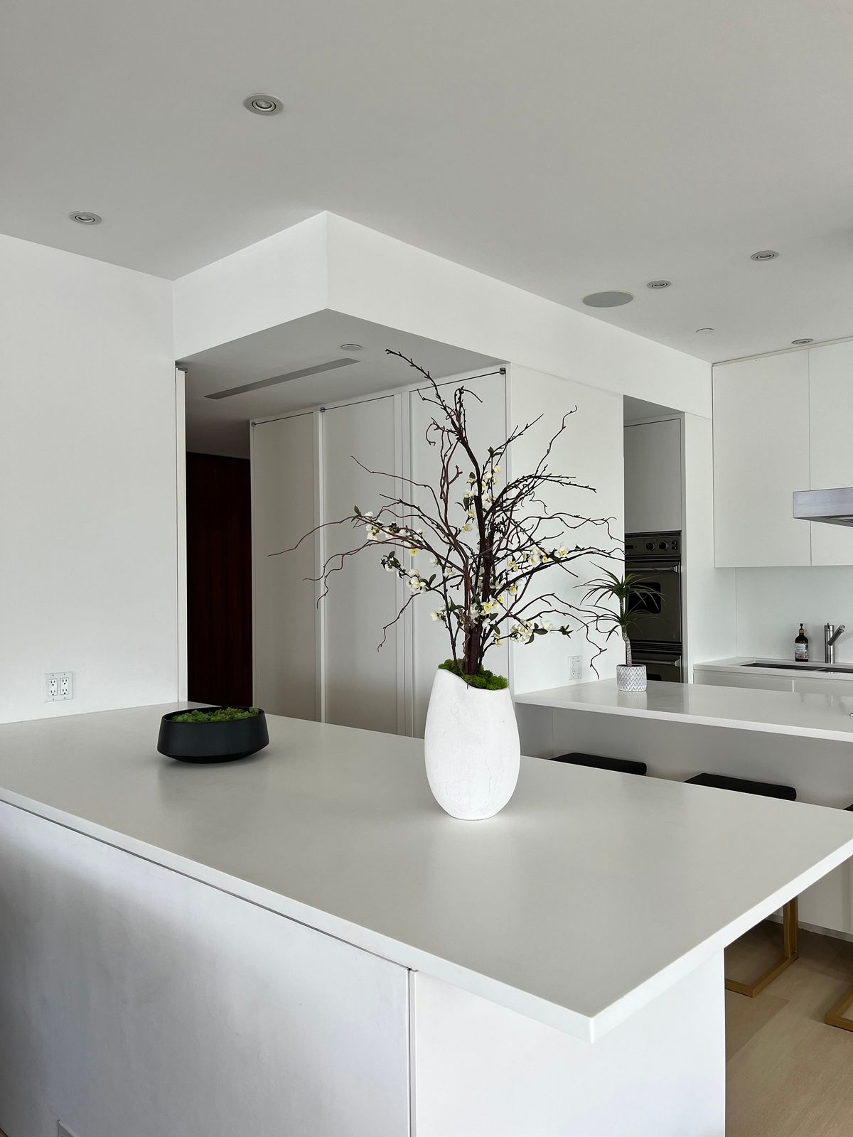 An organic arrangement is a modern alternative to fresh flowers. (Handout/TNS)  (TNS)