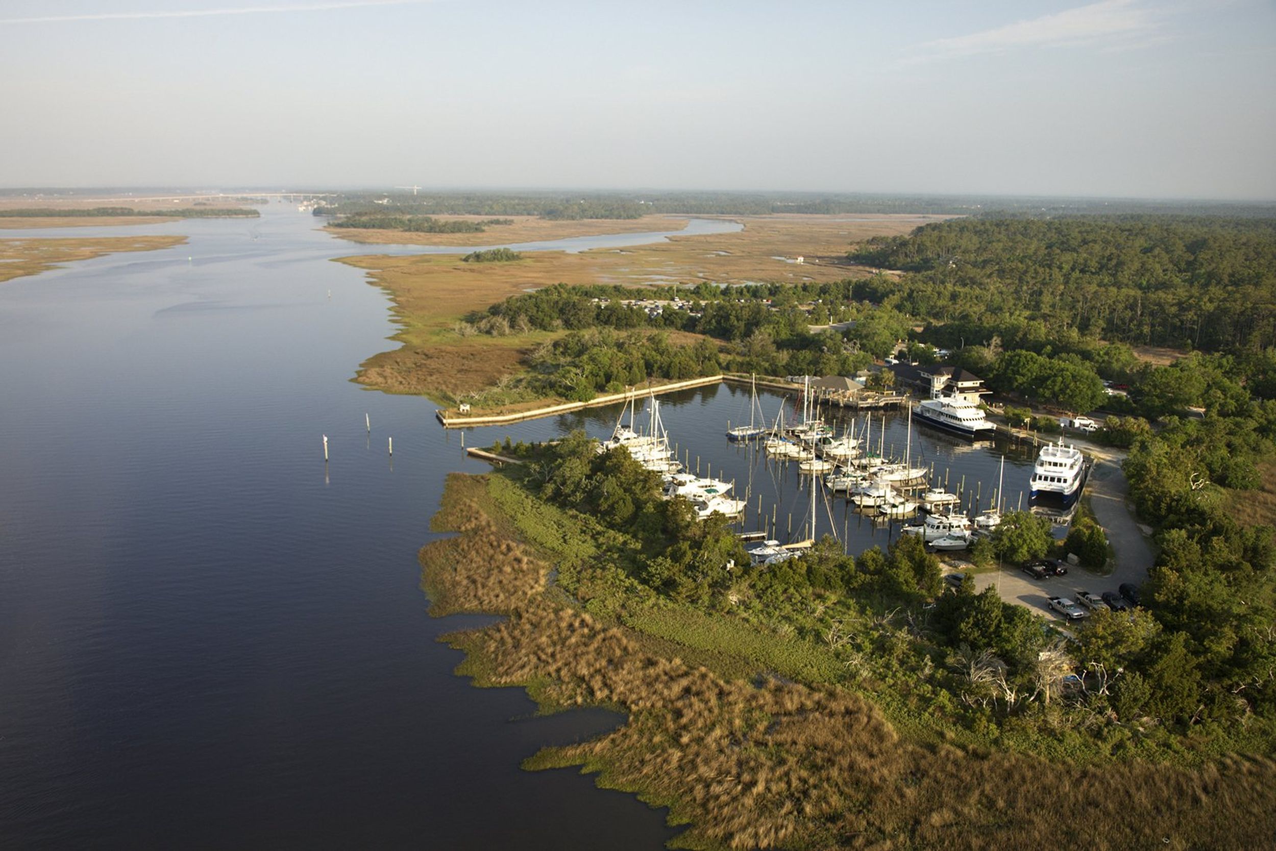 North Carolina could lose up to 40 of its wetlands to sea level rise
