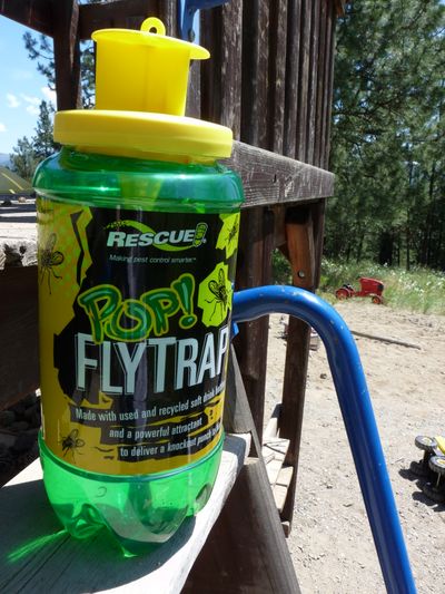 Sterling International, based in Spokane, has a popular trap for flies that is made from used 2-liter plastic bottles. (Jerod Jarvis / Down to Earth NW Correspondent)