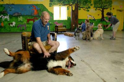
Hank Miller, left, owner of Boom Towne Canine Center, plays with his dog at his facility in Farmington, N.Y.
 (Associated Press / The Spokesman-Review)