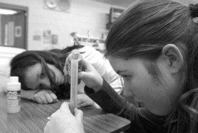 Soda pop science group members Janice Wright and Christina Patterson, both seventh-graders, prepare their mixture for orange marshmallow soda during the Women In Biotechnology and Information Technology after-school program at East Valley Middle School.
(J. BART RAYNIAK / The Spokesman-Review)