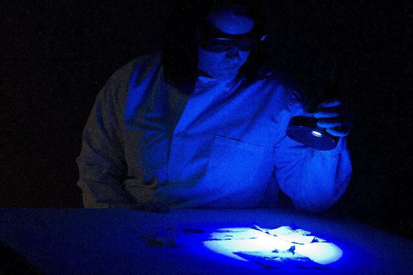 Forensic scientist Anna Wilson examines biological evidence under a forensic light source at  Washington  State  Patrol Crime Lab Monday, Oct. 25, 2010.  DNA discovered using similar techniques by a scientist at the lab has led to an arrest in a 1986 murder over the weekend.  (Colin Mulvany / The Spokesman-Review)