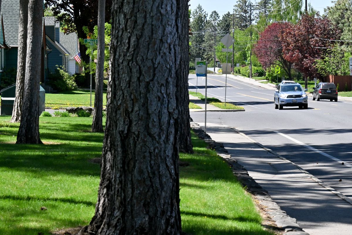 Motorists pass Comstock Park on Friday in Spokane.  (Tyler Tjomsland/The Spokesman-Review)