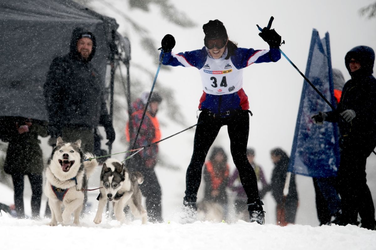 Brandi Williamson, of Corvallis, Montana, tears out of the starting gate with Buck and Vaxie at BarkerBeiner Sunday at Mount Spokane State Park.  (Angela Schneider/Big White Dog Photography)