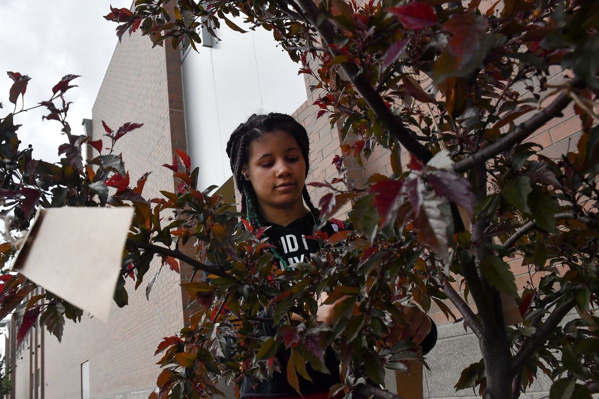 Cam Cole, a sophomore at Rogers High School and a member of SWAG (Strong Women Achieving Greatness), attaches a message to a Royal Raindrops crabapple tree planted by SWAG on Wednesday at Rogers High.  (Tyler Tjomsland/The Spokesman-Review)