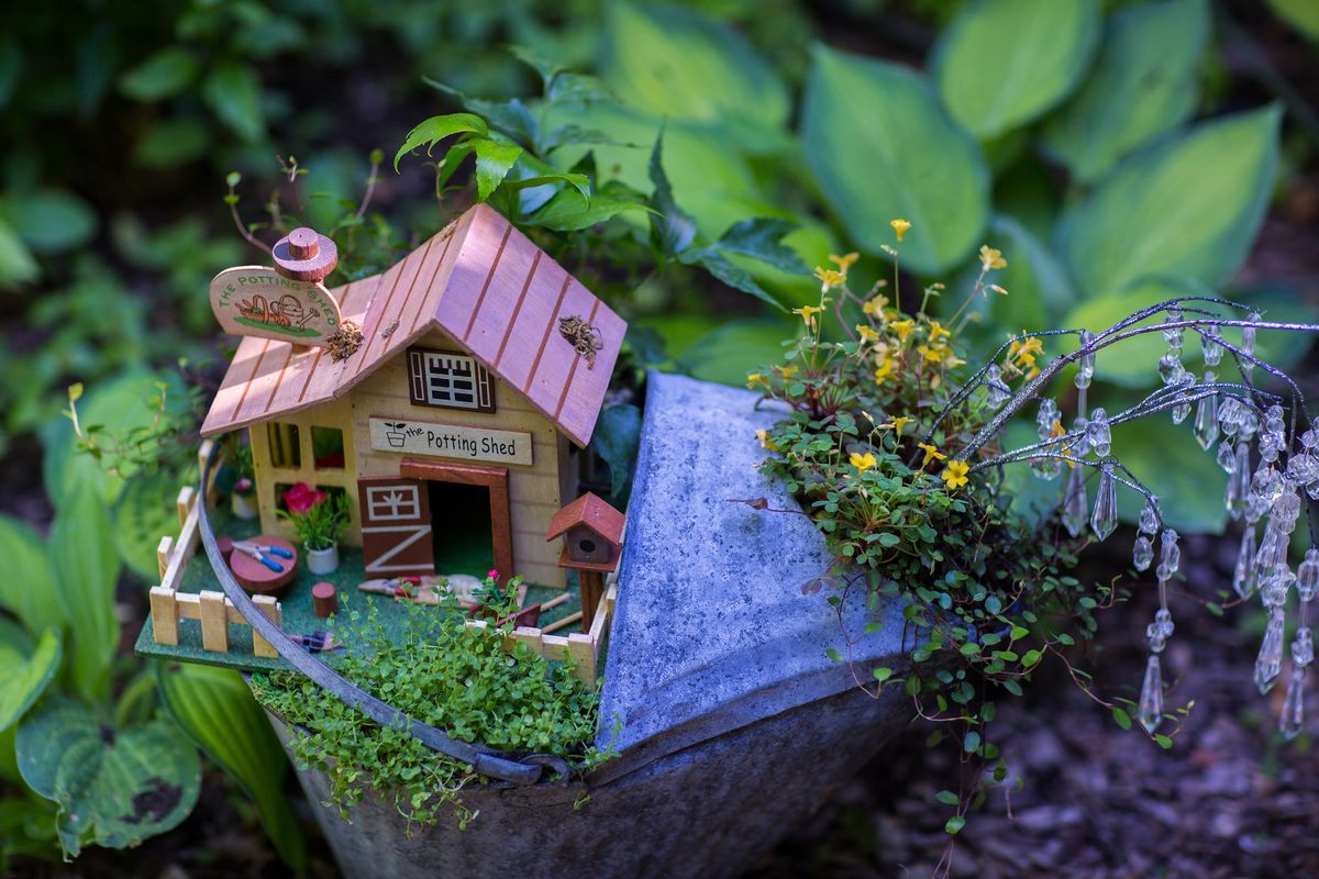 Nancy Eleder’s tiny fairy gardens use plants that are chosen to grow in scale with the small figurines.