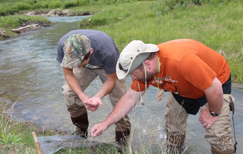 Stream ecology is one of the conservation courses taught at the  American Wilderness Leadership School. (Courtesy)