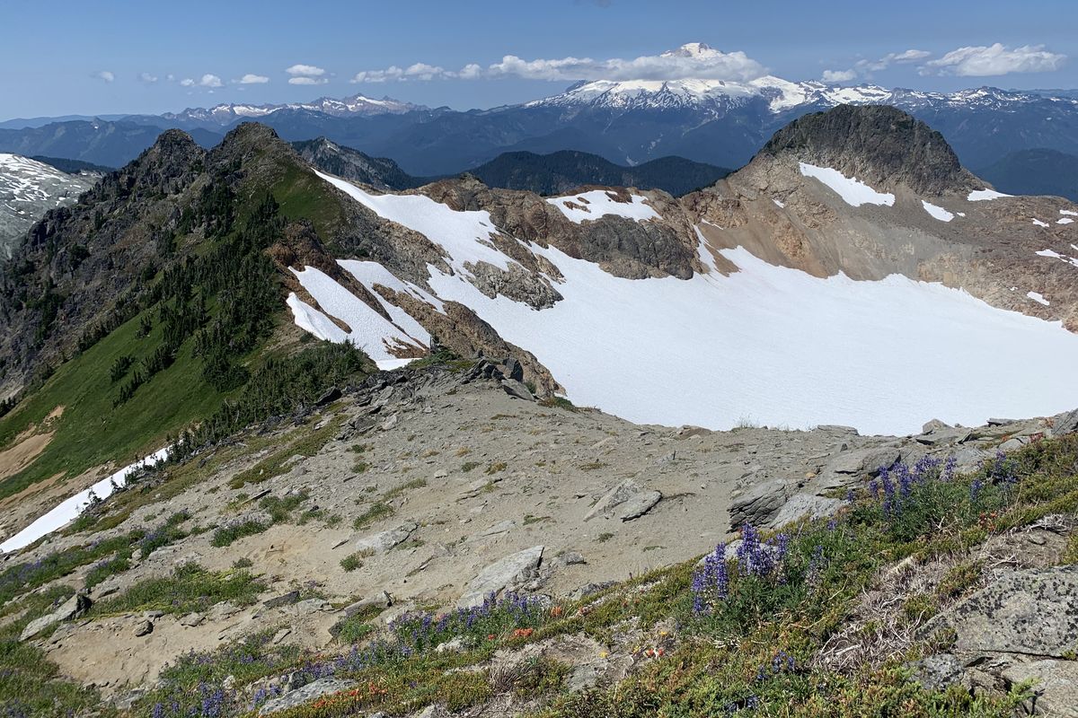 The Noisy Creek Glacier has decreased in thickness since 1993, according to National Park Service data. It’s been a strange season for Washington’s fast-shrinking glaciers.  (Evan Bush/Seattle Times)