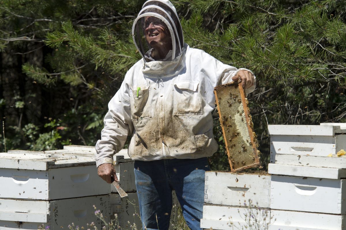 Why Do Beekeepers Give Up?