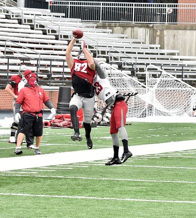 Washington State’s Lucas Bacon, a Spokane native, climbs the ladder to come down with a catch in the team’s first scrimmage at Martin Stadium.  (Washington State Athletics )