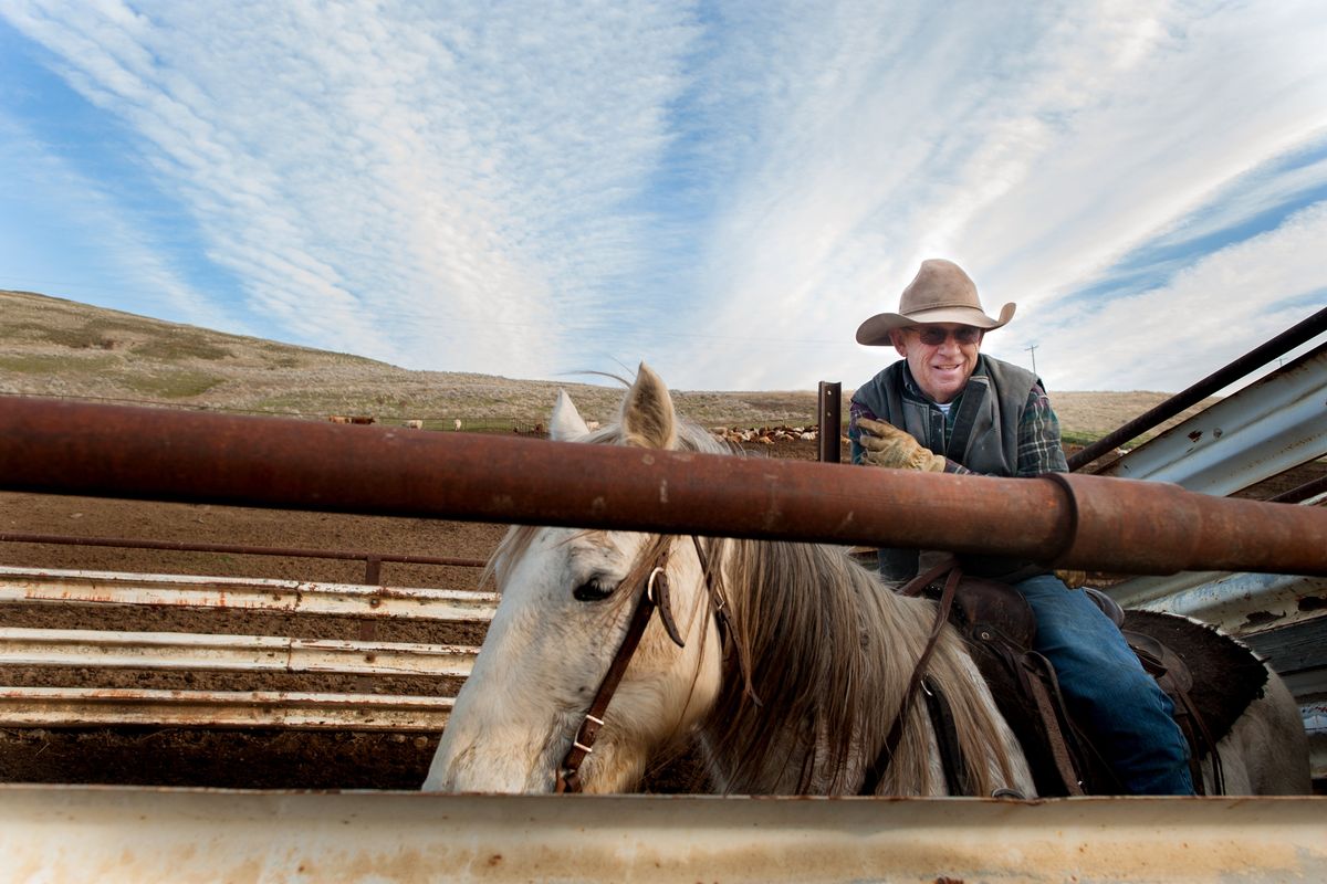 Rancher Walter “Sonny” Riley sits atop his horse Oly on Feb. 8, 2018, on his ranch near Central Ferry, Washington. Riley’s ranch reached an agreement with the federal government, signed by a U.S. District Court judge last week, that settled a decadelong dispute over grazing lands held by the U.S. Army Corps of Engineers.  (TYLER TJOMSLAND/The Spokesman-Review)