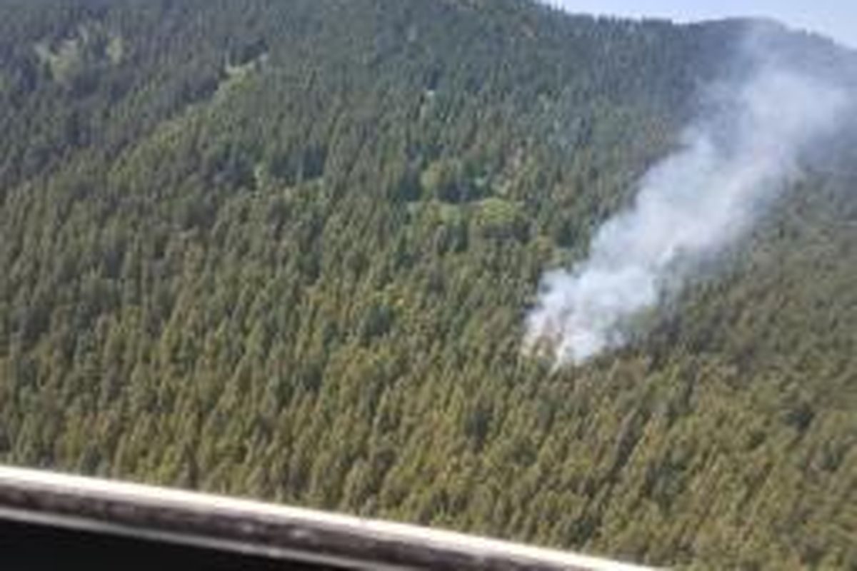 The North Fork Hughes Fire near Priest Lake as it appeared on July 9, 2017, five days after it was discovered. (U.S. Forest Service)