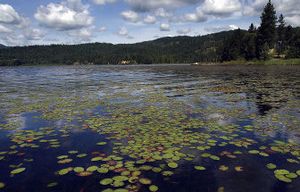 
After a proposed camping area at Rose Lake was strongly opposed by area residents, the Coeur d'Alene Basin Environmental Improvement Project Commission is seeking other possible sites. 
 (Kathy Plonka / The Spokesman-Review)