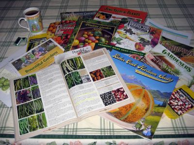 This is a perfect time to get inspired by seed catalogs and plan this year’s garden. Special to  (SUSAN MULVIHILL Special to / The Spokesman-Review)