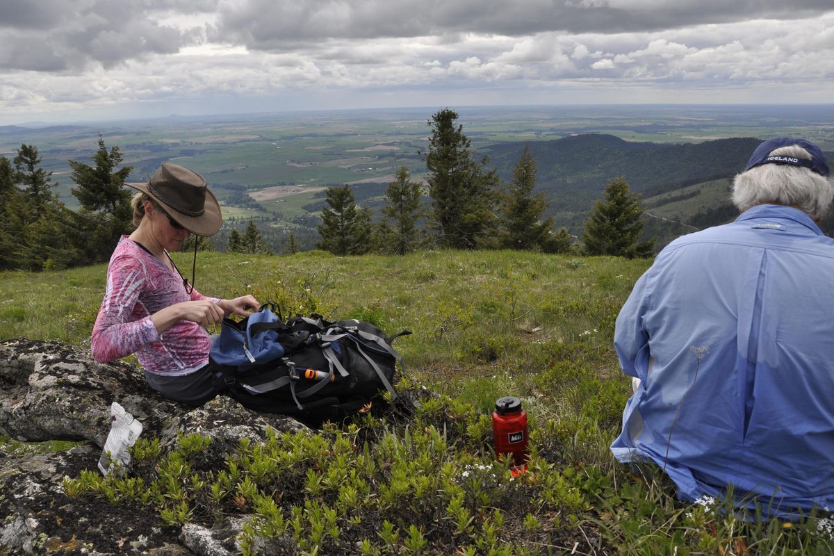 Hikers take a break to enjoy the view to the southwest from near the top of the Mica Peak Conservation Area. (Rich Landers / The Spokesman-Review)