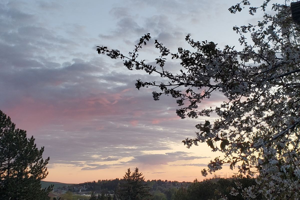 A high-pressure ridge stalled over the Pacific has brought pleasant, yet abnormally dry spring weather to the region. This sunset is shown May 2 in Moscow, Idaho.  (Linda Weiford/For The Spokesman-Review)
