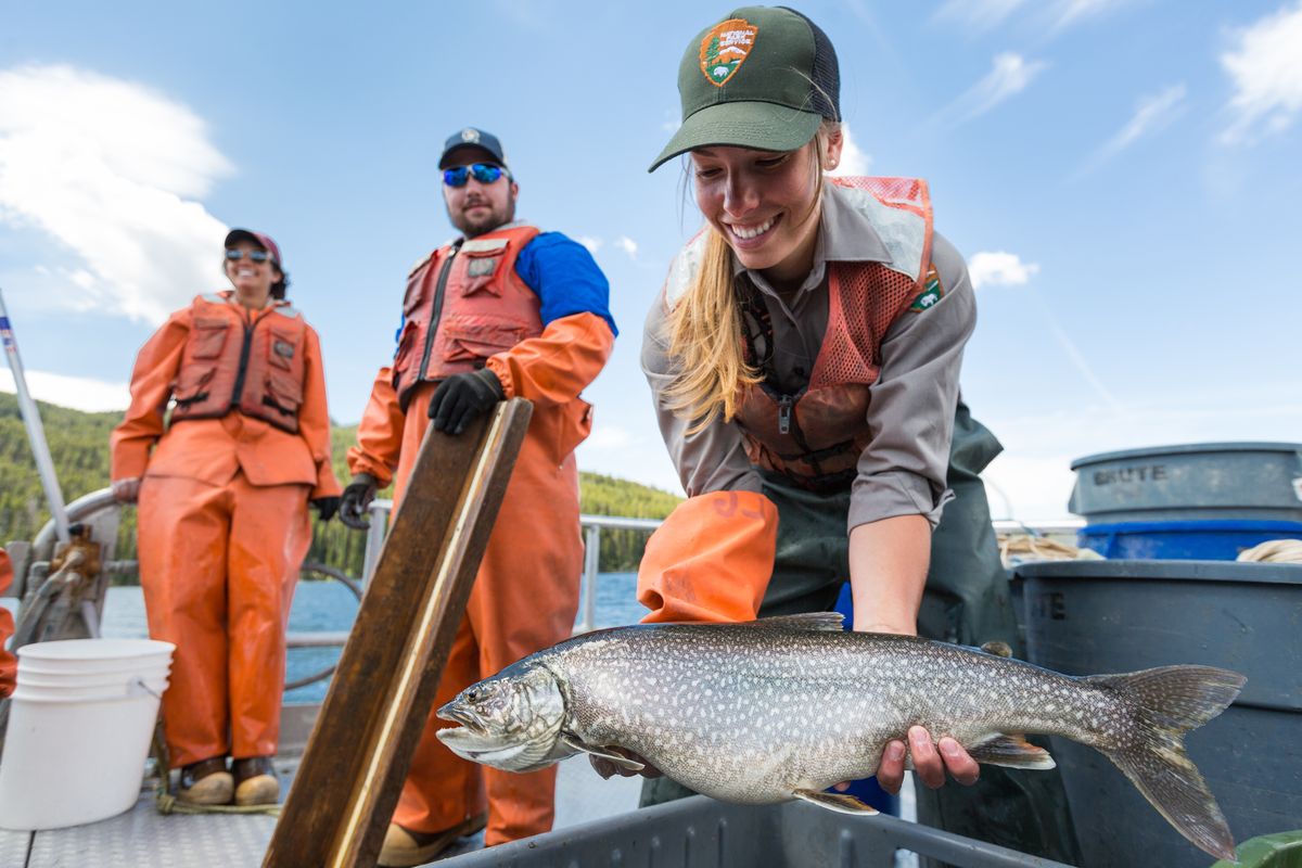 Yellowstone National Park biologist Andi Puchany holds an invasive lake trout netted in Yellowstone Lake during lake trout suppression efforts.  (NPS/Neal Herbert)