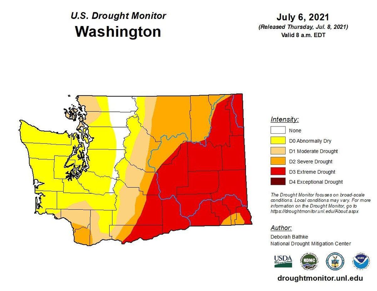 Most of Eastern Washington is in extreme drought. There’s no rain in the forecast immediate forecast and temperatures early this week are expected to eclipse the 100-degree mark.  (U.S. DROUGHT MONITOR)