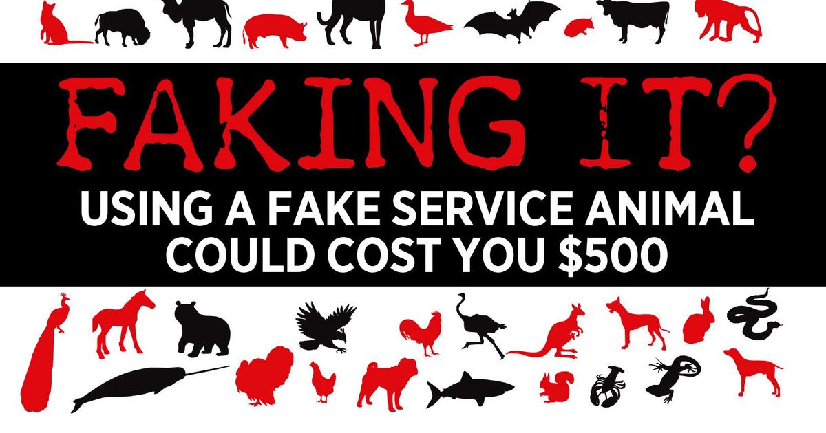 Spokane City Council to vote on fake service animal law | The  Spokesman-Review