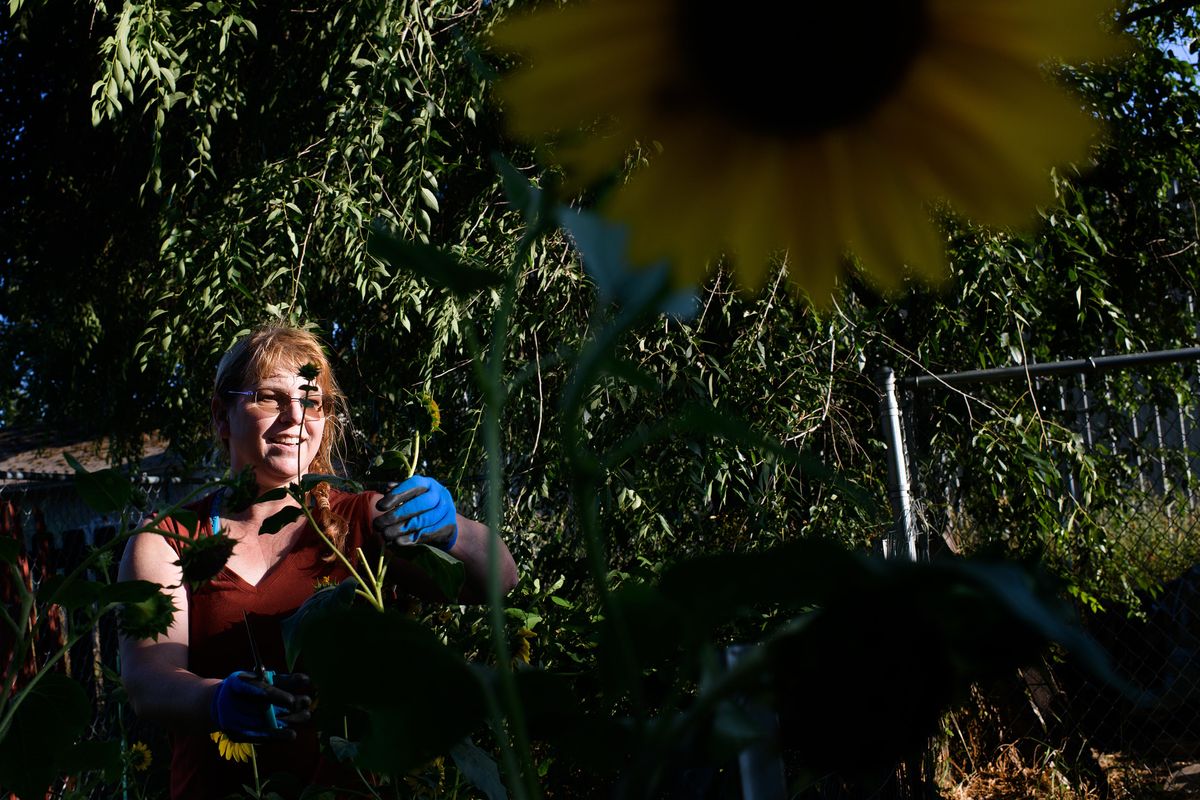 Deborah Grenehalghe shows off her garden while posing for a portrait Tuesday, Aug. 13, 2019, at her home in Spokane. (Tyler Tjomsland / The Spokesman-Review)