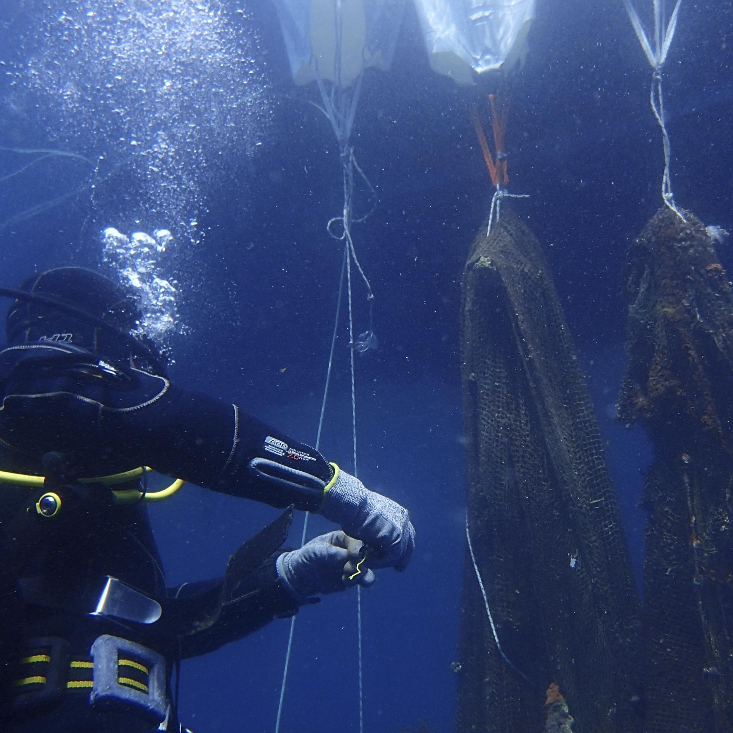 Abandoned, lost and discarded fishing gear 'ghost nets' are