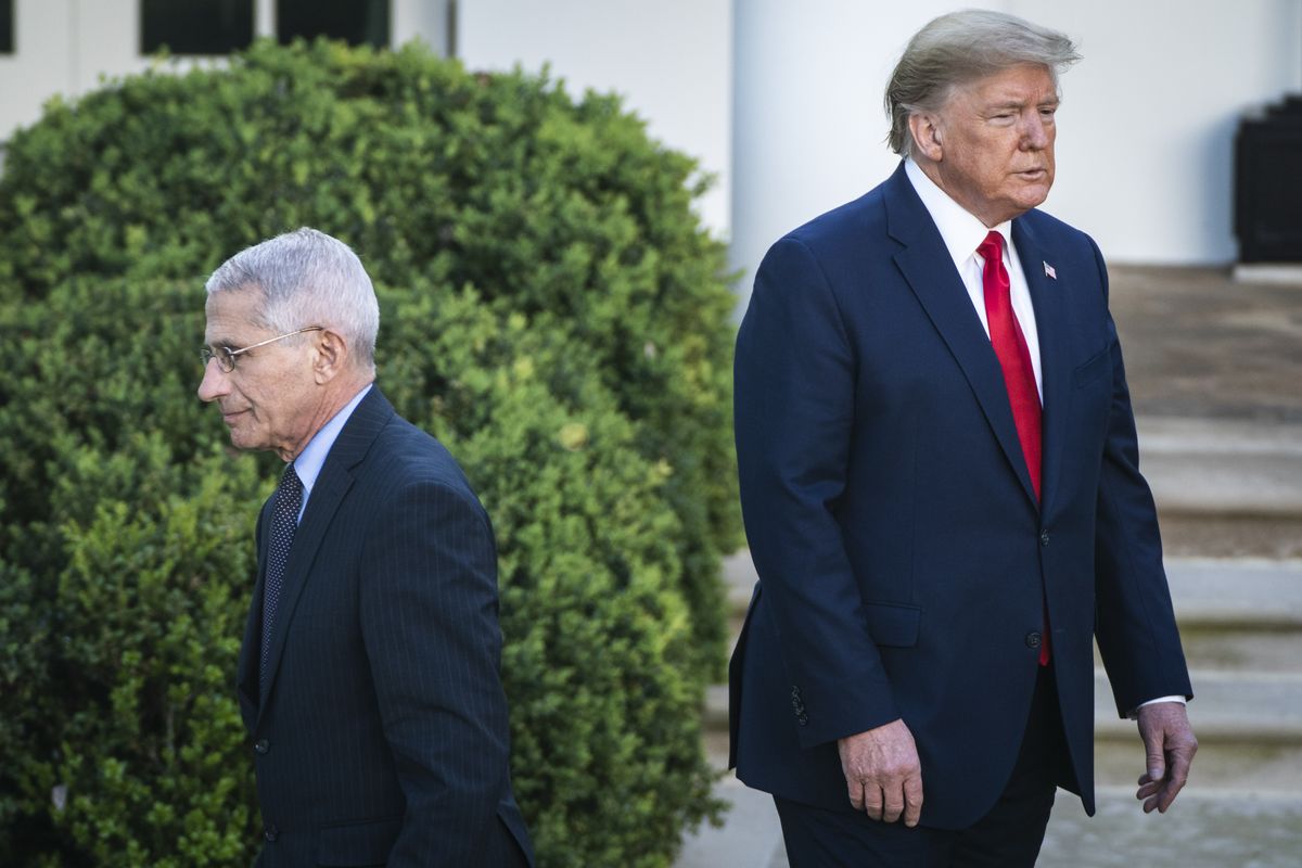 After initially working together during the coronavirus pandemic, Donald Trump, right, has since blamed Anthony Fauci for giving him poor advice and amplified attacks on the former federal official. Outside scientists have praised Fauci for his leadership during the public health crisis. MUST CREDIT: Jabin Botsford/The Washington Post  (Jabin Botsford/The Washington Post)