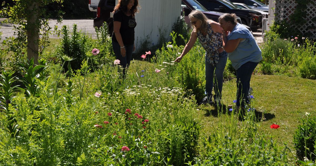 Coeur d'Alene Garden Club's self-guided garden tour offers green thumbs and admirers the chance to give back