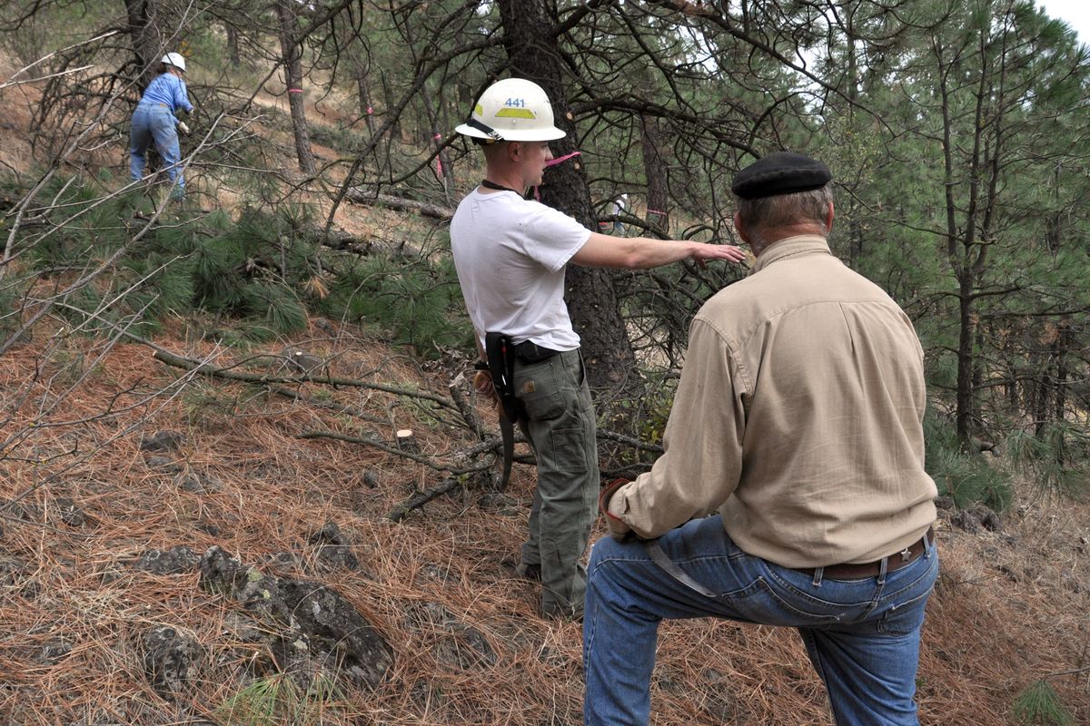 Erik Sjoquist, WSU Extension forester, answers questions from one of two dozen volunteers who helped thin trees and trim branches to reduce fire danger on the South Hill bluff below High Drive on Sunday. (PHOTOS BY RICH LANDERS)