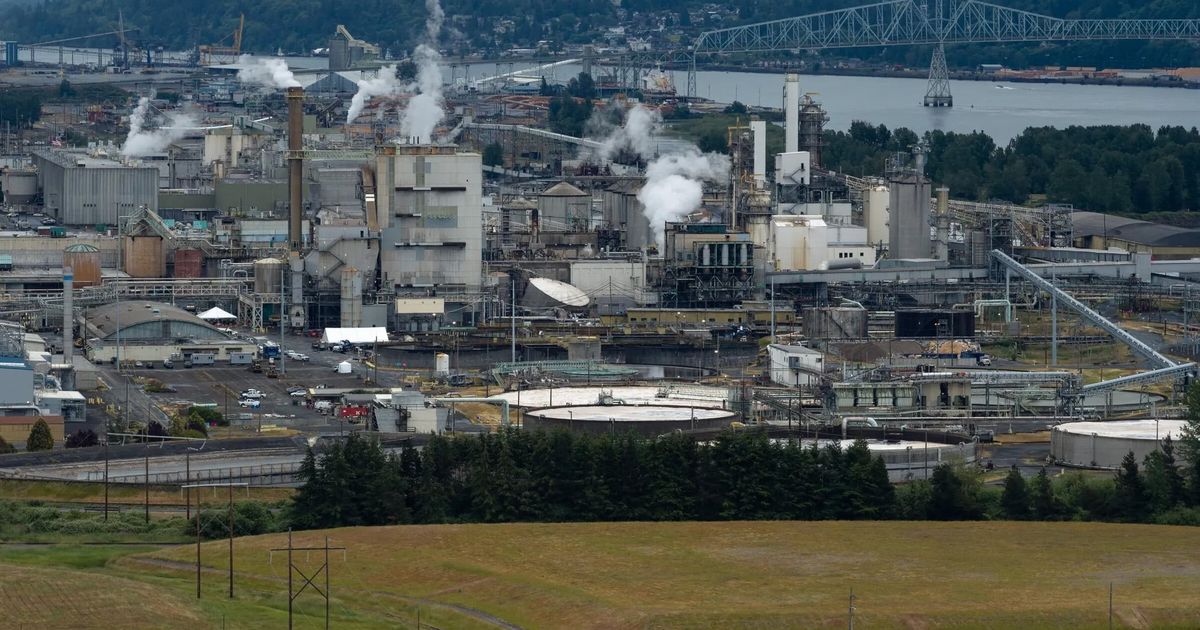Some workers back to work at WA paper mill where 11 died