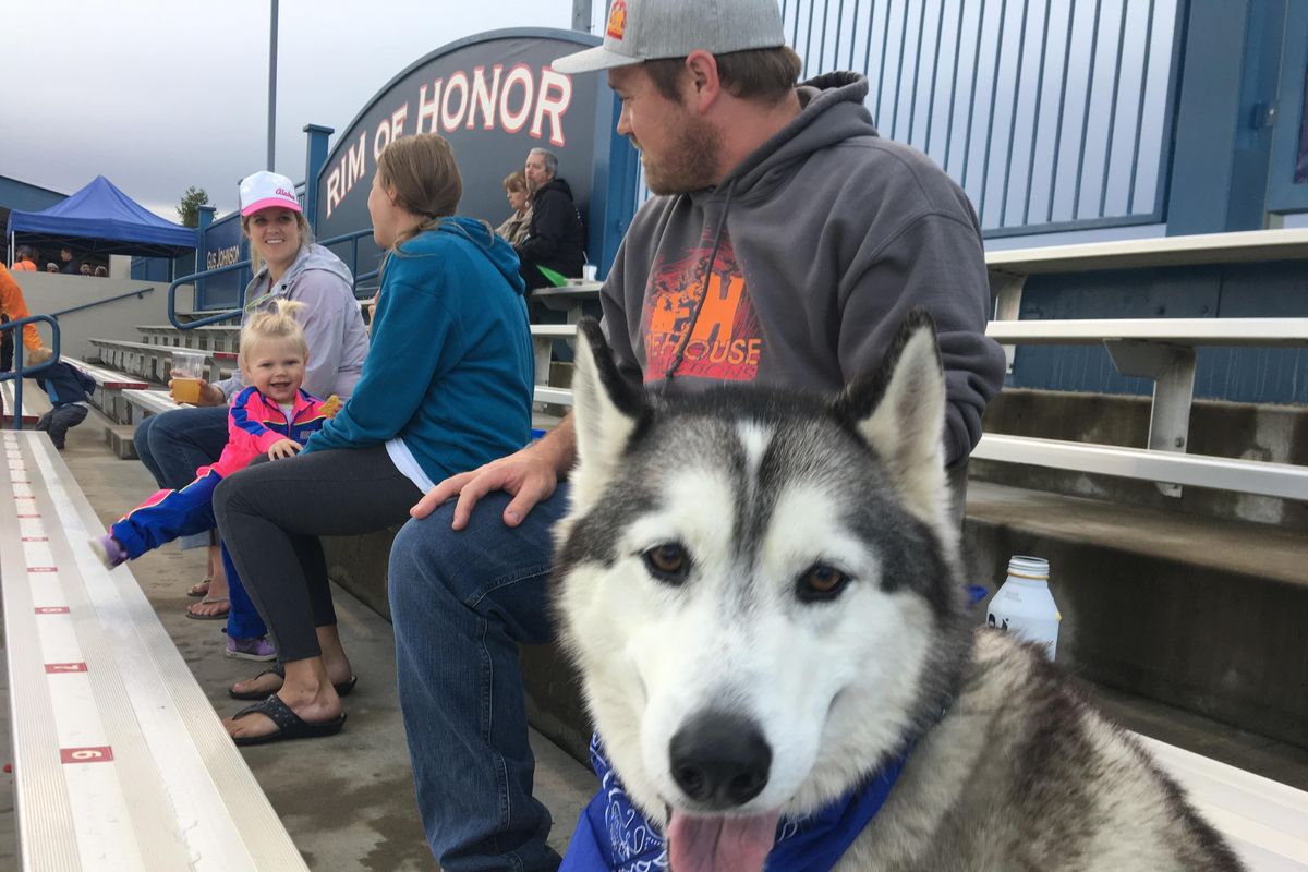 Photos: Mariners Bark at the Park 2015