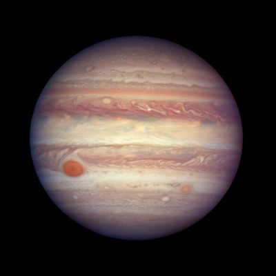 Jupiter, as captured by the Hubble Space Telescope in 2017. The largest planet in our solar system is the closest it has been to Earth since 1963, and since it is rising in opposition to the sun, it should be visible with good binoculars tonight.   (Courtesy of NASA, the European Space Agency, A. Simon via GSFC.)