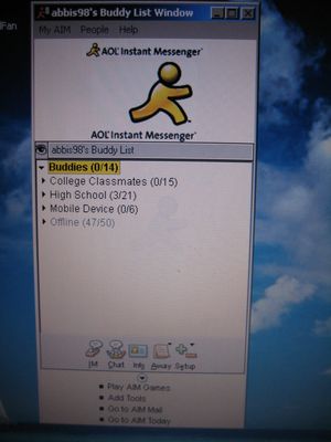 An image of the typical AOL Instant Messenger window. Don't act like you don't wish it was 2003.