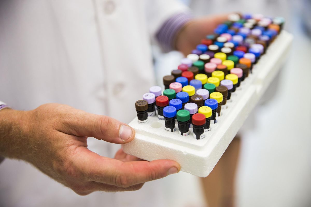 Wambre holds the markers he used to distinguish human blood cells affected by allergens from normal ones. (Kjell Redal / TNS)