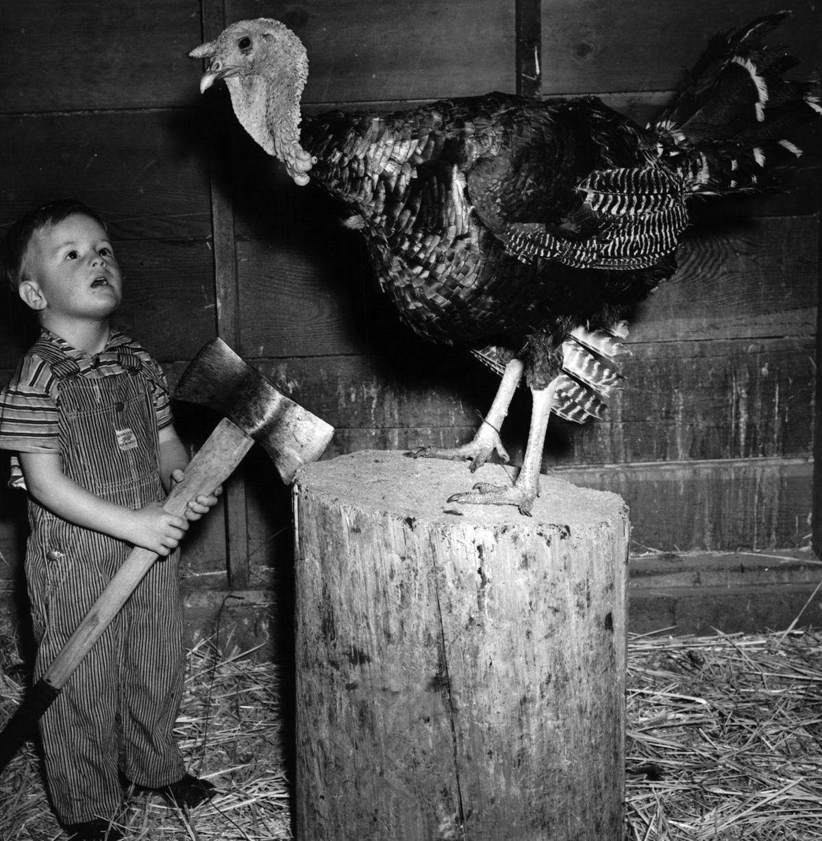 In a photo staged in the early 1940s by his father, young Bill Gothmann grips a hatchet and looks at a turkey at the family business.