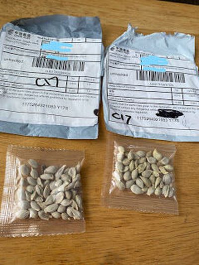 Dozens of Washington residents have reported receiving unsolicited seeds from China.  (Washington State Department of Agriculture)