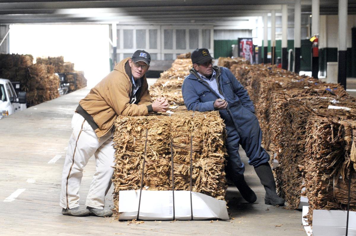 tobacco growers settlement 10 years after settlement, tobacco rebounds in U.S