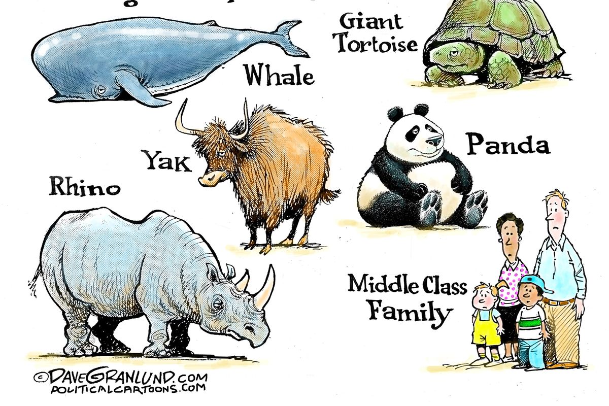 Dave Granlund, PoliticalCartoons.com (Dave Granlund)