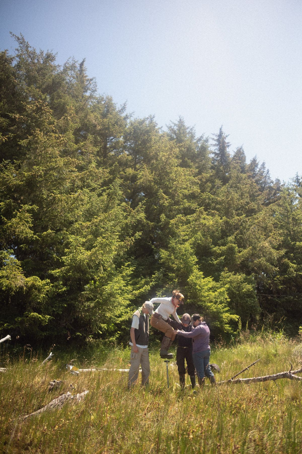 Scientists take a sediment core in July near the mouth of the Coquille River on the Oregon Coast, part of their quest to find buried evidence of tsunamis and earthquakes that struck the region. (Olivia Bee/For the Washington Post)