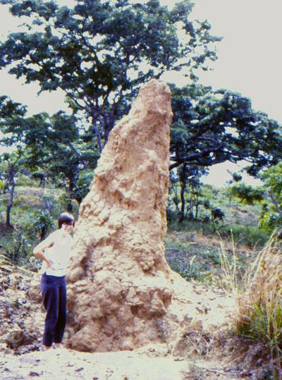 Janet Yoder poses next to a termite mound in Africa.