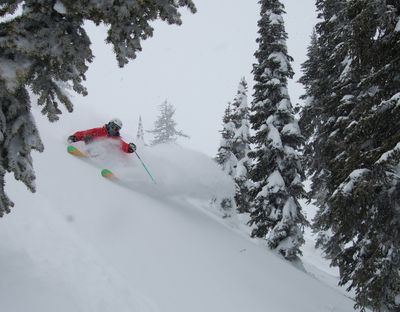 Ski snorkeling at Fernie Alpine Resort, where 32 inches of powder fell Feb. 28-March 2, 2011. (Robin Siggers)
